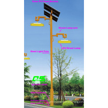 WPSRR-8906 3~15m Municipal Road Hot DIP Galvanized Steet Light Pole style